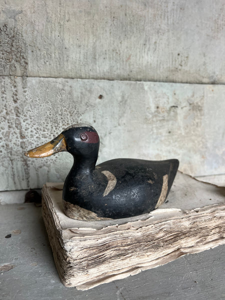 Vintage French Decoy Duck