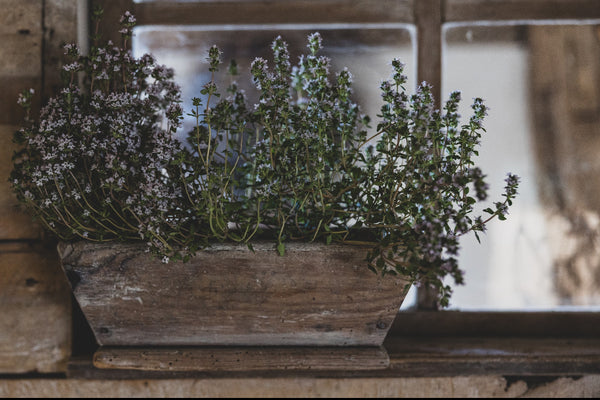 Sweet Vintage French Trough