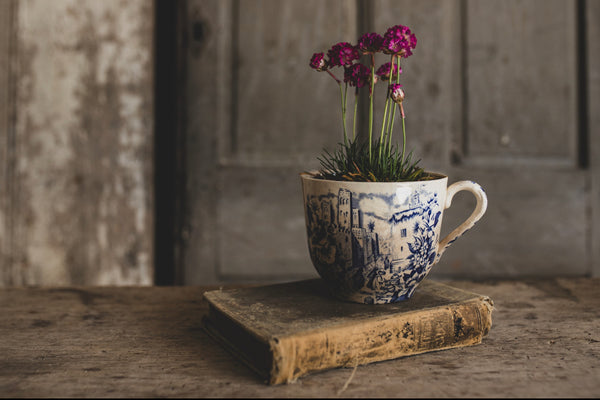 Large Transferware Cup