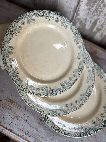 Antique French Conker Transferware Plates