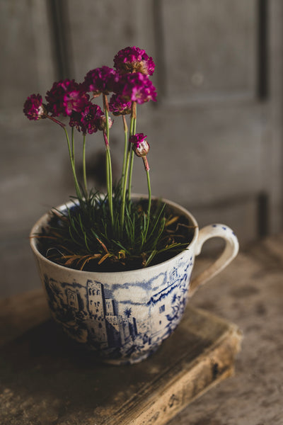 Large Transferware Cup