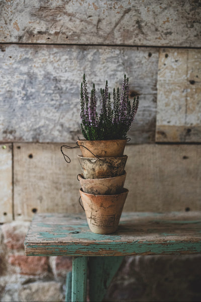 Antique French Pine Resin terracotta pots