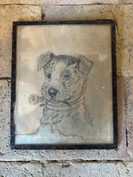 1940s Sweet Vintage Dog Sketch