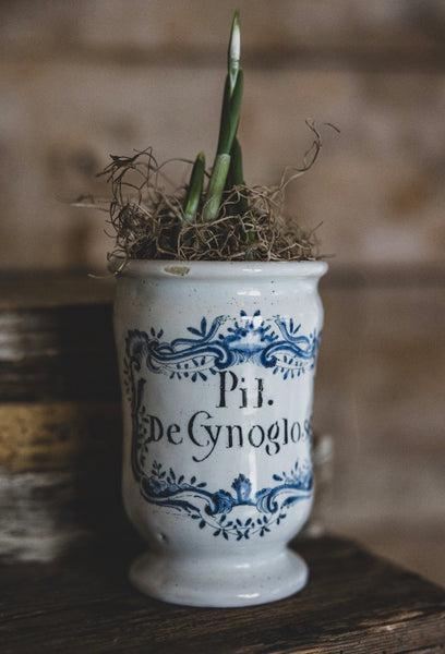 Antique Apothecary Jar