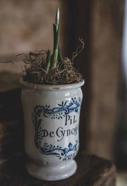 Antique Apothecary Jar