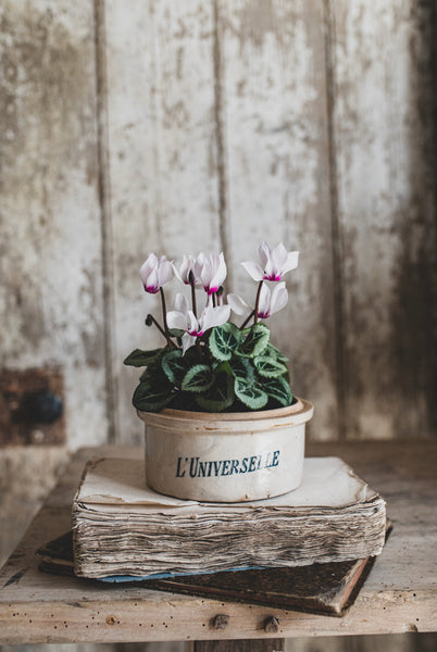 Antique Storage Pot