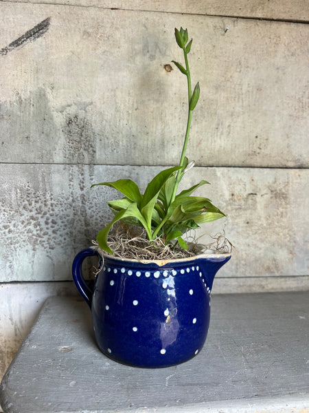 Sweet Vintage Blue Jug