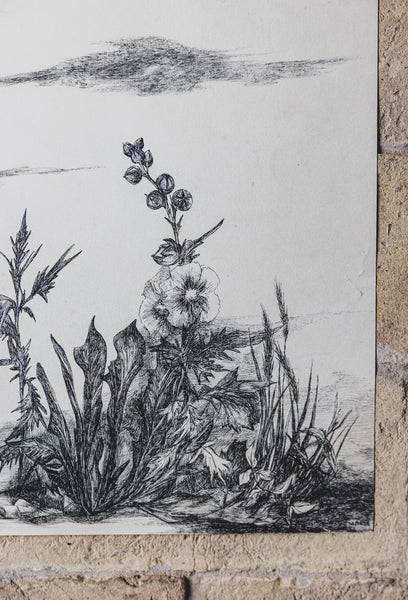 Beautiful Floral Sketch