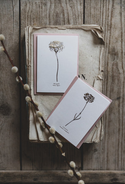 And So It Begins Marigold & Carnation "Mini" Card