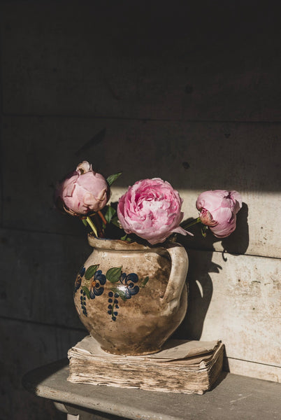 Painted Vintage French Handled Pot