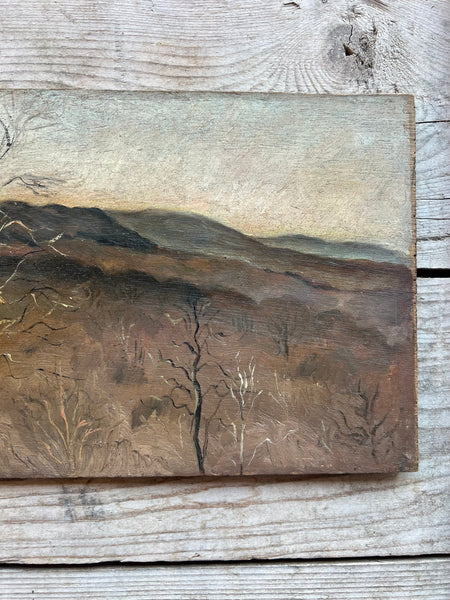 1929 Landscape Oil on Board