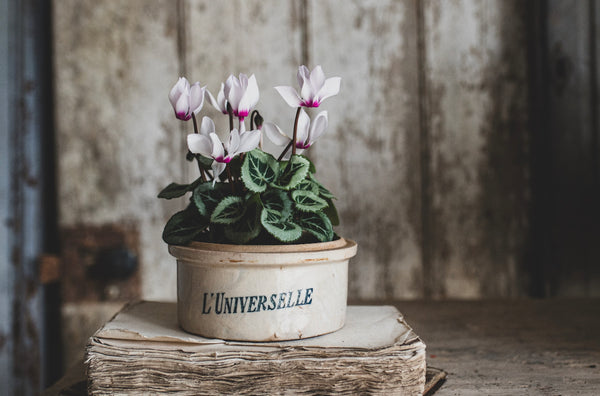 Antique Storage Pot