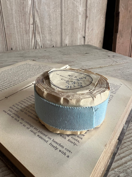 Beautiful French Ribbon (Light Blue)