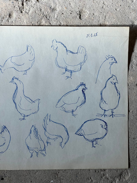 1948 French Chicken Sketch
