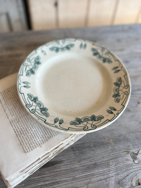 Beautiful French Floral Transferware Plate