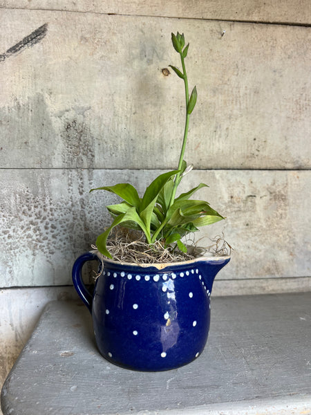Sweet Vintage Blue Jug