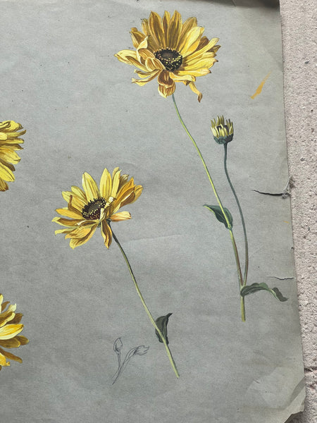Gorgeous Sunflower Vintage Painting
