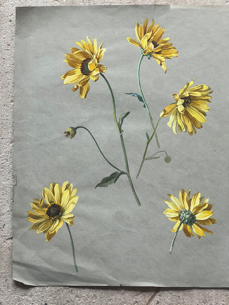 Gorgeous Sunflower Vintage Painting