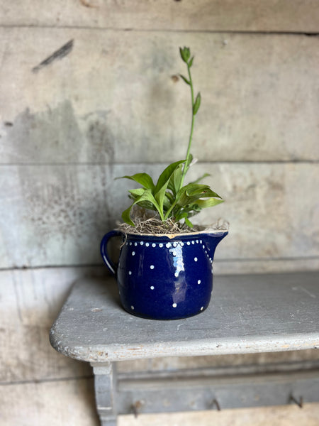 Sweet Vintage Blue Jug