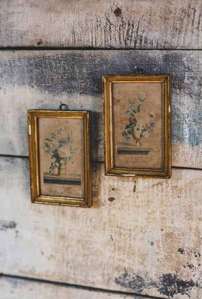 Framed Vintage French Floral Prints