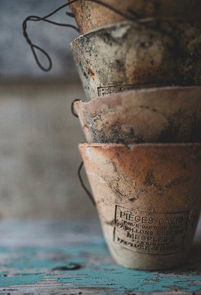 Antique French Pine Resin terracotta pots