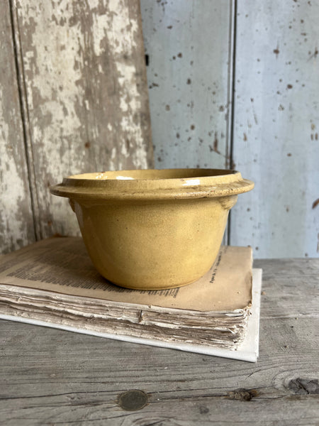 Beautiful Yellow French Bowl