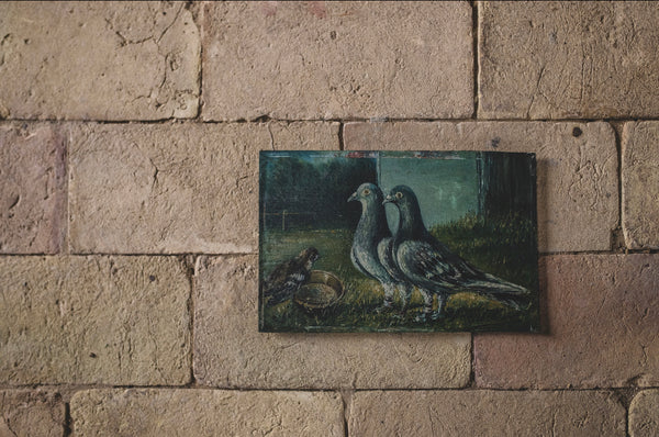 Antique French Pigeon Oil Painting