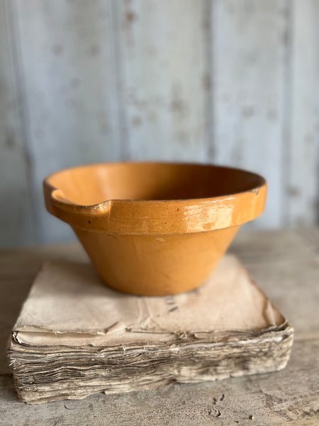 French Rustic Stoneware Bowl