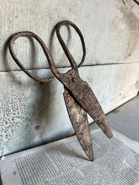Antique Scissors