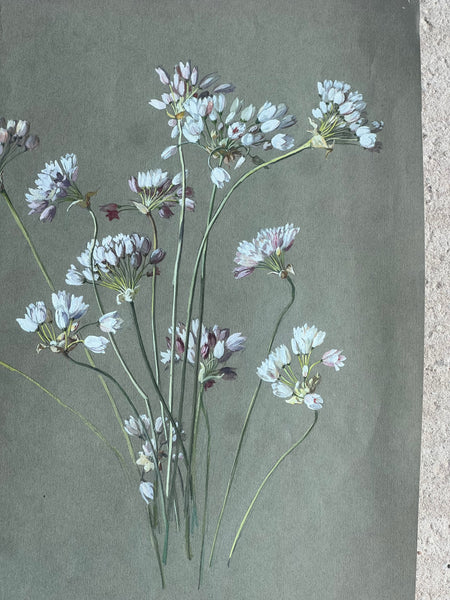 Gorgeous Floral Vintage Painting