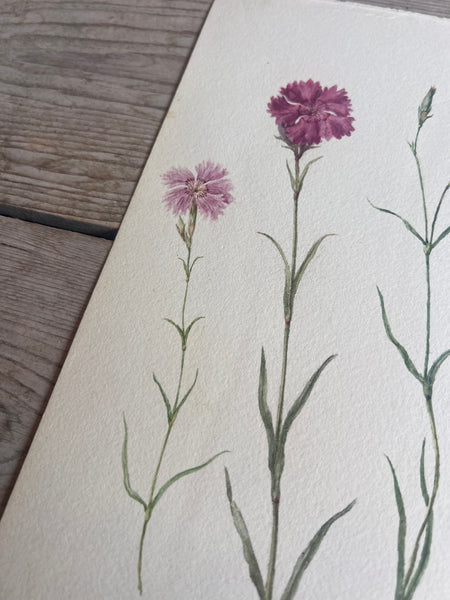 Beautiful Floral Watercolour Painting