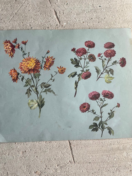 Gorgeous Dahlia Vintage Painting