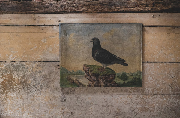 Antique French Pigeon Oil Painting