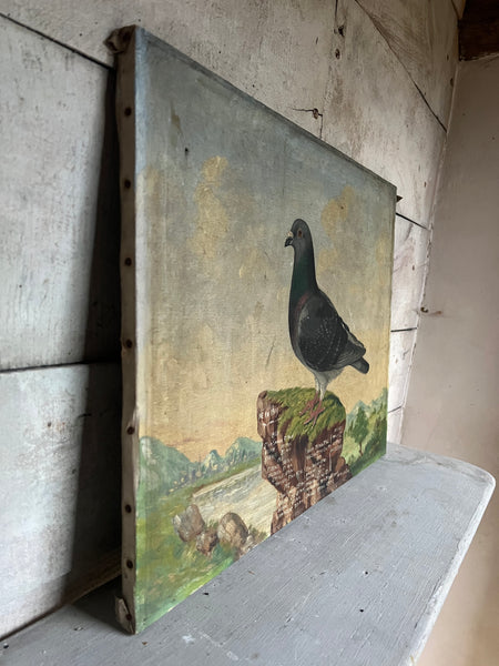 Antique French Pigeon Oil Painting