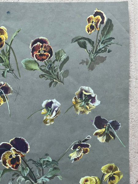 Gorgeous Pansy Vintage Painting