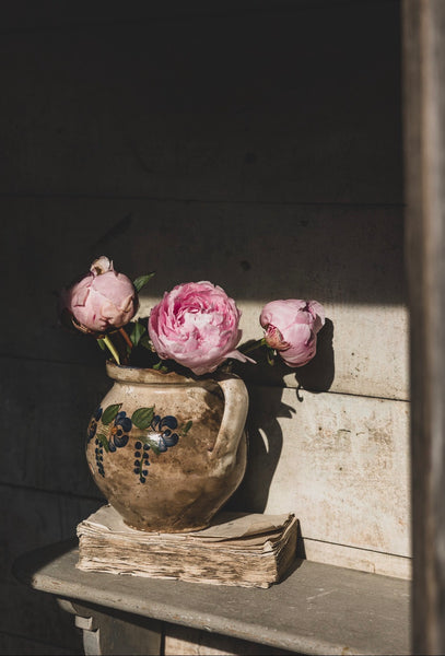 Painted Vintage French Handled Pot
