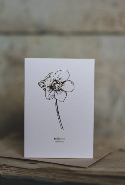 And So It Begins Hellebore "Mini" Card