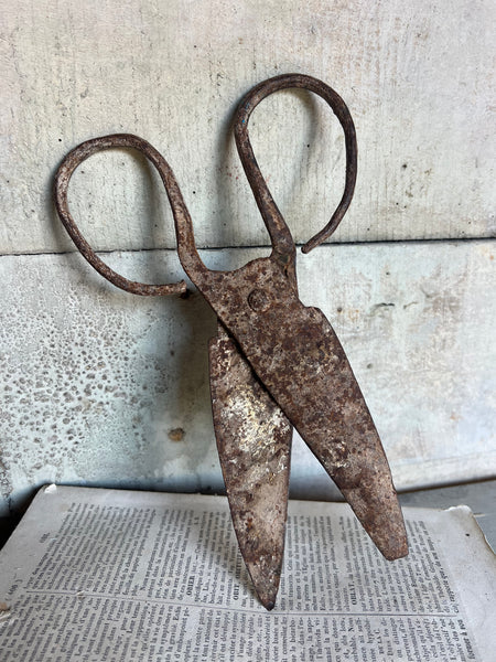 Antique Scissors