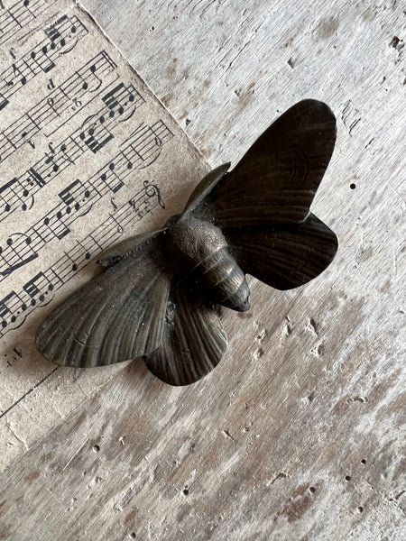 Vintage Brass Moth