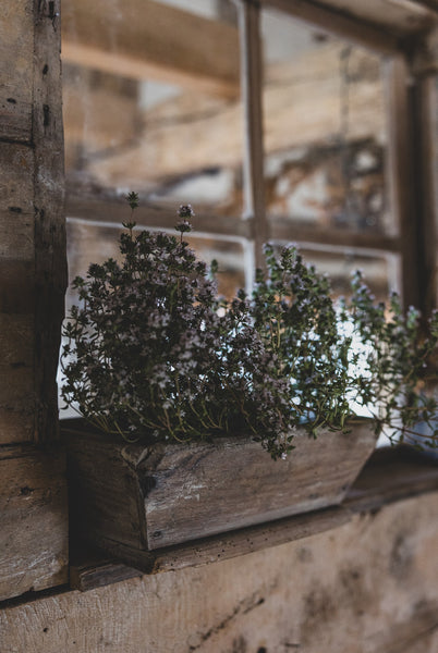Sweet Vintage French Trough