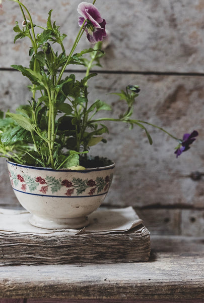 Vintage French Spongeware Bowl