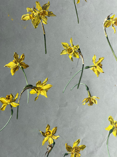 Gorgeous Daffodil Vintage Painting