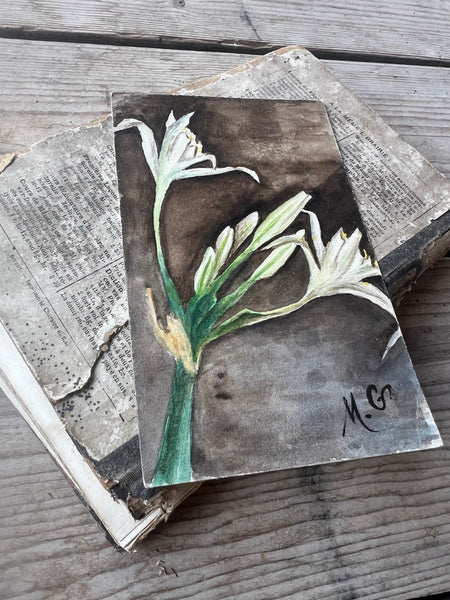 Sweet Painted Postcard