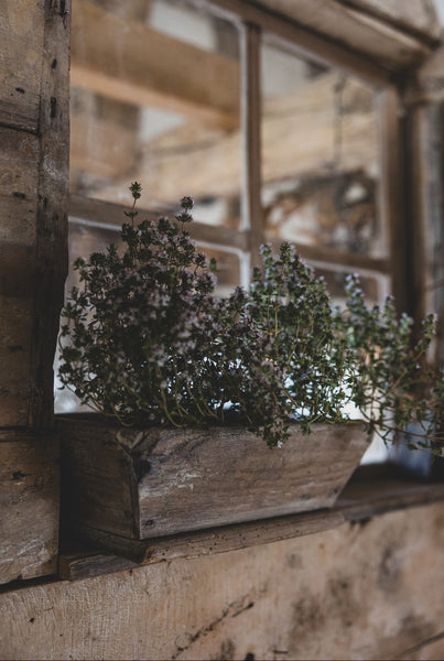 Sweet Vintage French Trough