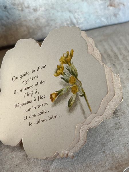 Beautiful Antique French Souvenir Book