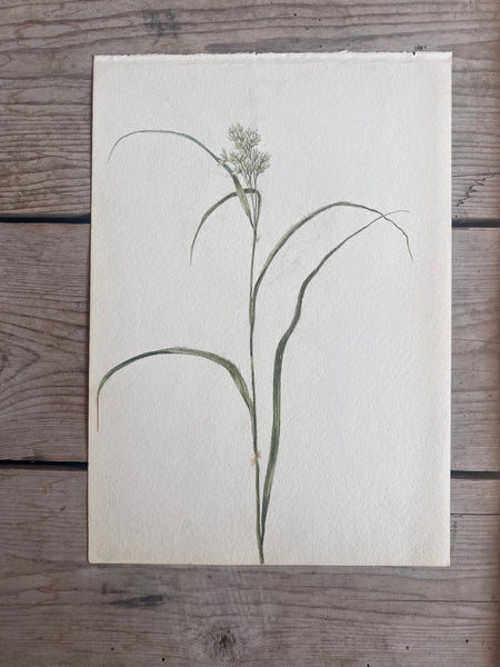 Beautiful Watercolour Painting