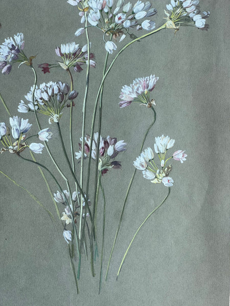 Gorgeous Floral Vintage Painting