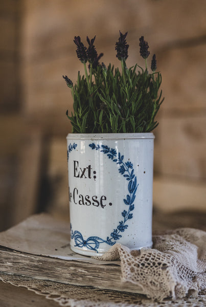 Antique Apothecary Jar