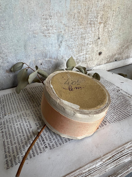 Beautiful French Ribbon (Peach/Light Orange)