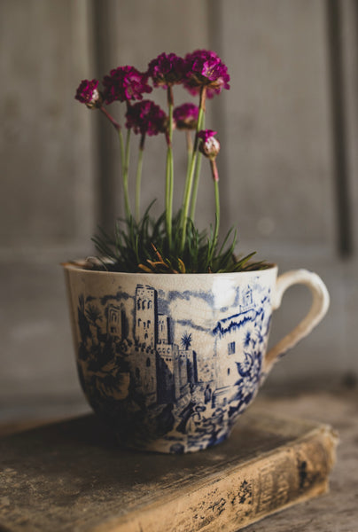 Large Transferware Cup